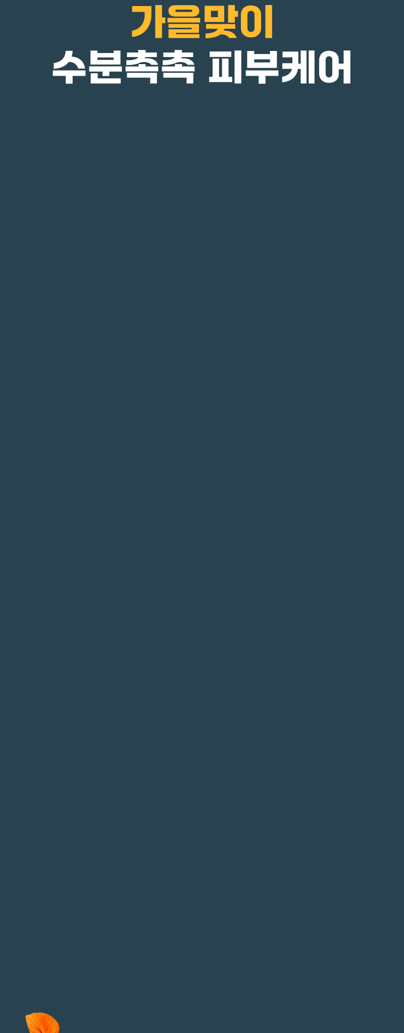 AUTUMN FESTA 가을 특별전