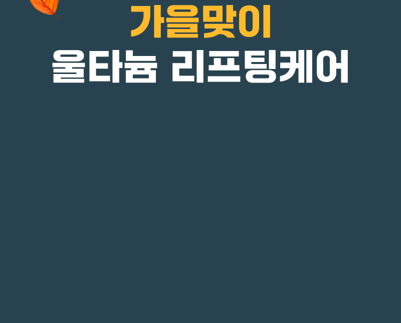 AUTUMN FESTA 가을 특별전