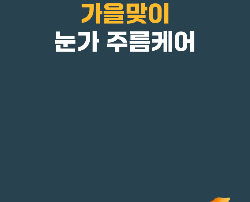 AUTUMN FESTA 가을 특별전