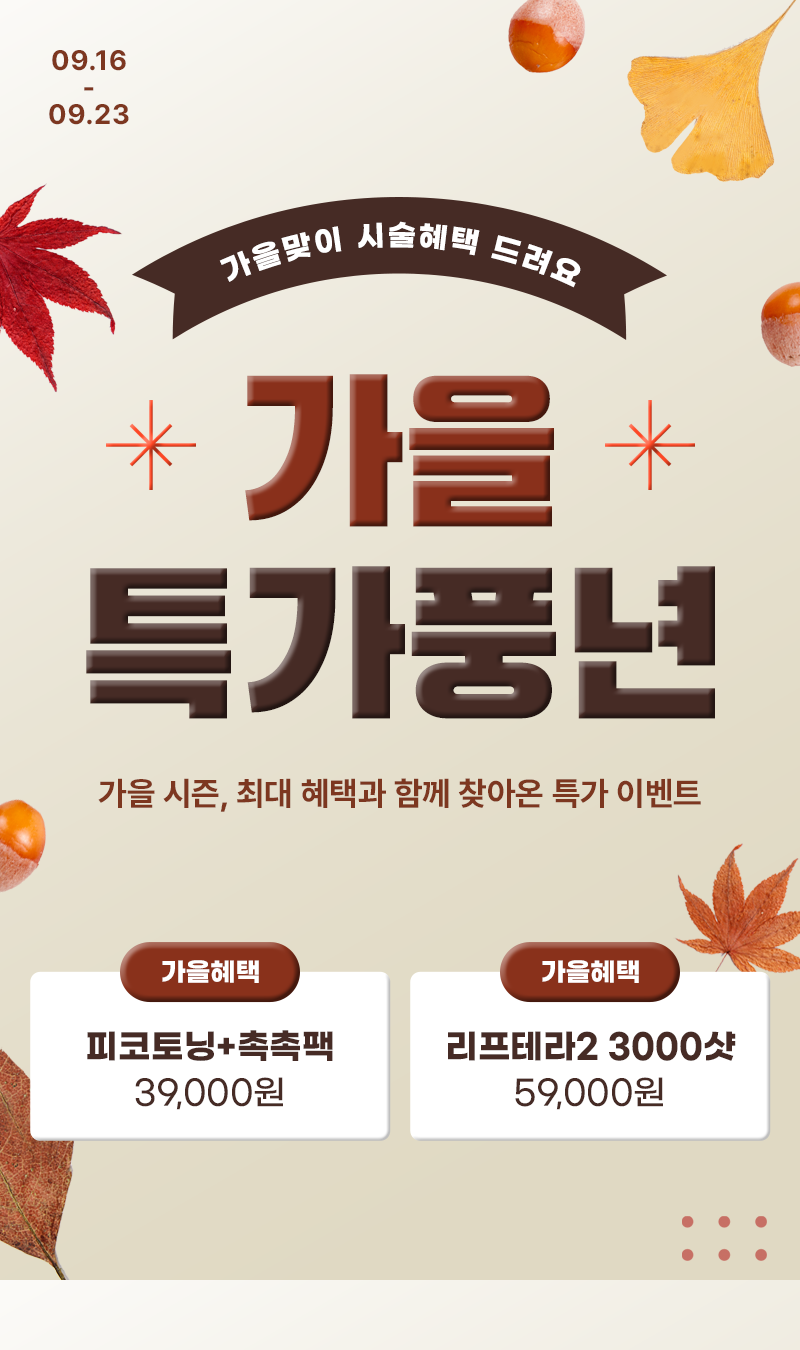 가을 특가 풍년