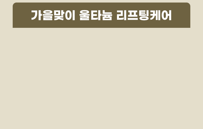 가을 특가 풍년