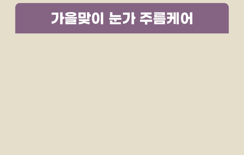 가을 특가 풍년