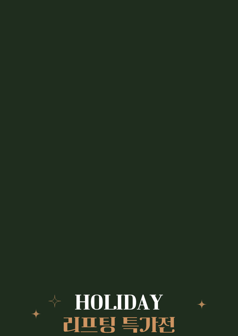 HOLIDAY 특가 할인전