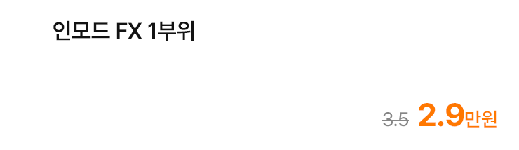 인모드 FX 1부위