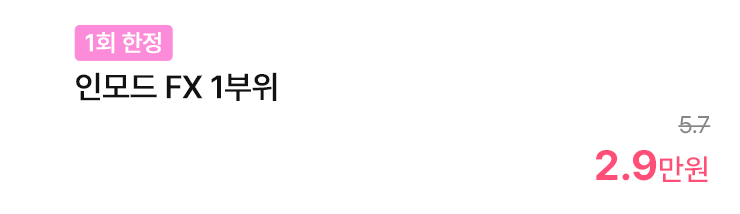 [1회 한정] 인모드 FX 1부위