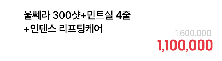 울쎄라 300샷+민트실 4줄+인텐스 리프팅케어