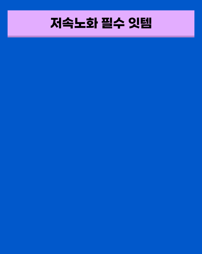 저속노화 필수 잇템